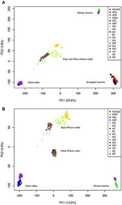 Signatures of Selection for Environmental Adaptation and <mark class="highlighted">Zebu</mark> × Taurine Hybrid Fitness in East African Shorthorn <mark class="highlighted">Zebu</mark>